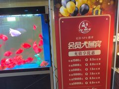 -臻享养生·SPA·影院式足道(汇臻店)