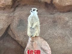-香港海洋公园