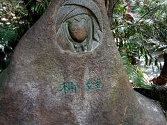 -呀诺达热带雨林