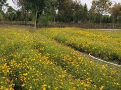 -歌斐颂巧克力小镇