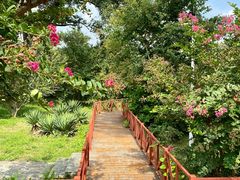 -国家植物园南园