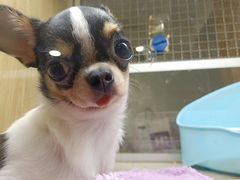 -藦茜花园宠物主题亲子互动体验馆(国顺东路店)