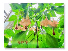 -华南国家植物园-售票处