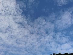 -贵阳市花溪国家城市湿地公园