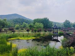 -石塘人家
