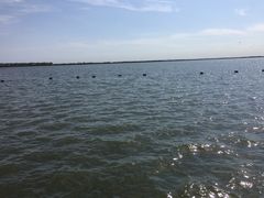 -包头南海湿地景区