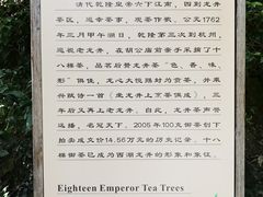 -十八棵（老龙井）御茶园(老龙井店)