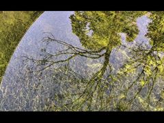 -云溪植物园