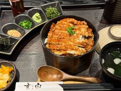 -玄白·炭烤活鳗(上海首店)