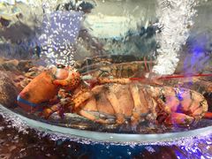 -盒马鲜生(悠方店)
