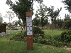 -九科绿洲