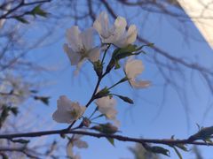 -山东师范大学(千佛山校区)