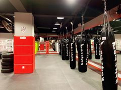 -TFC 纯泰拳馆MuayThai