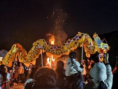 -宁波九龙湖开元度假村