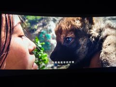 -金逸影城(中关村店)