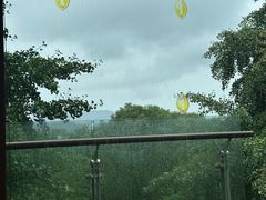 -逸廊大堂吧-下午茶·简餐-千岛湖自由洲际殿