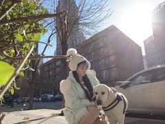 -天宠宠物医院24小时·急重症诊疗中心·全科·腔镜特色(和平分院)