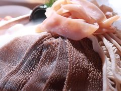 -九鼎轩脆毛肚火锅(三钢里店)