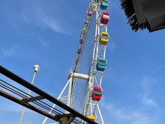 -上海野生动物园