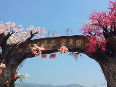 门口-天适樱花悠乐园