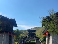 -大唐贡茶院