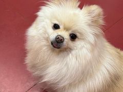 -和它·交个朋友·狗咖猫咖(爱琴海店)