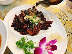 -新聚丰菜馆(太监弄店)