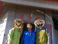 -北京鹫峰国家森林公园