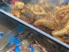 -宾朋海鲜特色美食餐厅·纯手工鲅鱼水饺(兴海路店)