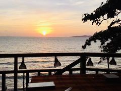 -卷心菜和避孕套餐厅(Pattaya)