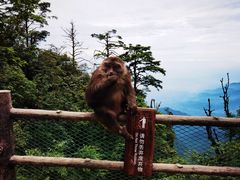 -峨眉山风景名胜区
