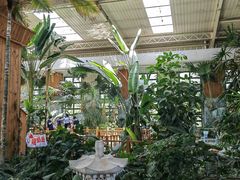 -南宫五洲植物乐园