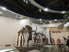 -烟台自然博物馆