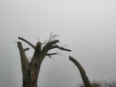 -长沙黑麋峰国家森林公园