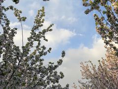 -海棠花溪(元大都城垣遗址公园)