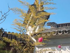 -苏州冶园园林民宿(太湖西山风景区店)