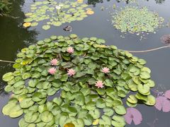 -国家植物园南园