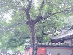 -成都武侯祠博物馆