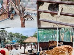 -海合安天津极地海洋公园
