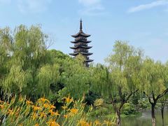 -上海方塔园
