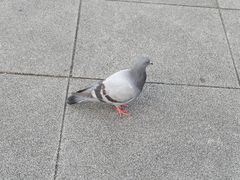 -青春分食(仙林大学城店)