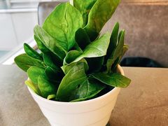 菠菜&nbsp;大份-捞王锅物料理(上海世茂广场店)