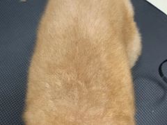 -多卡布奇宠物生活馆(上林世家店)