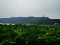 -湖畔居茶楼(湖滨店)