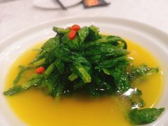 金汤豌豆尖-惠丰堂饭庄·烤鸭·京味菜(翠微路店)