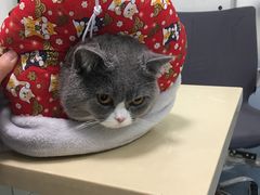 -仁普宠物诊所(住友昌盛新苑店)