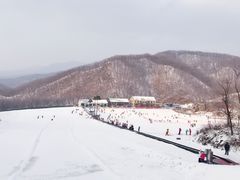 景点-五家山森林公园滑雪场