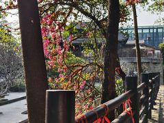 -鹅滋道(甘坑古镇店)