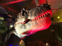 -恐龙探索乐园(磁器口店)