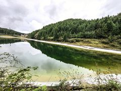 -武陵山森林公园